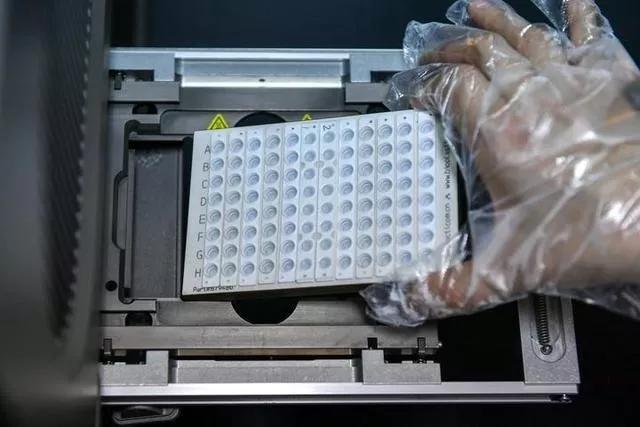 新冠检测PCR