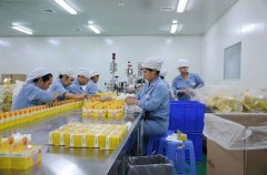 食品净化车间设计的基本常识