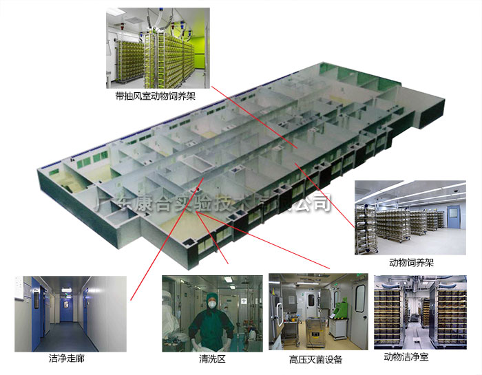 动物实验室设计方案