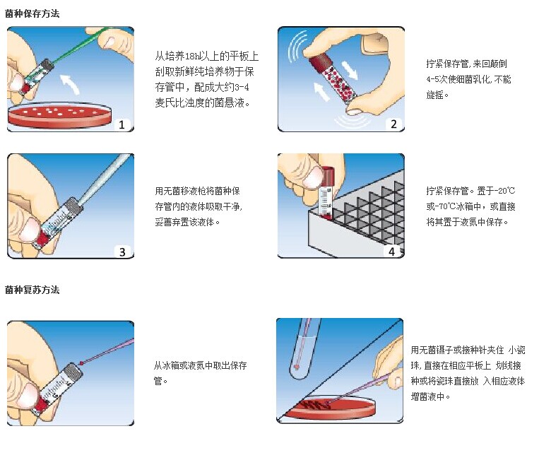 菌种保存方法