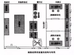 细胞实验室建设，你必须知道的5件事