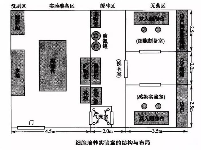 细胞培养实验室的机构与布局